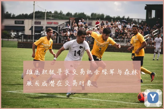 雄鹿积极寻求交易机会绿军与森林狼或成潜在交易对象