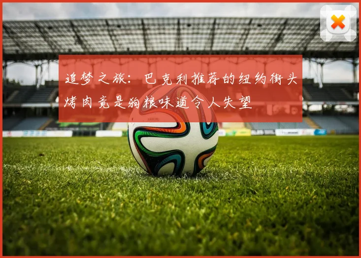 追梦之旅：巴克利推荐的纽约街头烤肉竟是狗粮味道令人失望