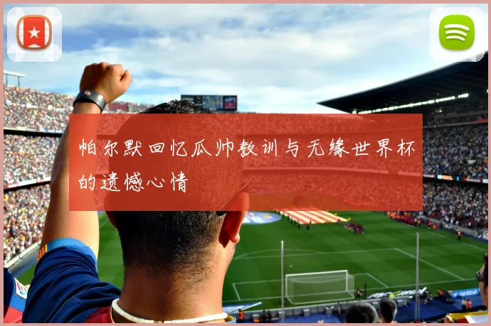 帕尔默回忆瓜帅教训与无缘世界杯的遗憾心情